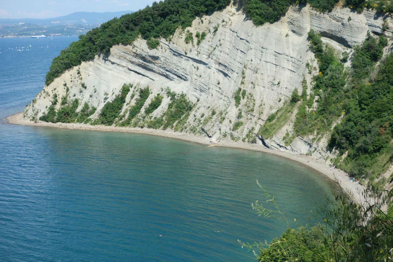 Amazing View Pirano公寓 外观 照片